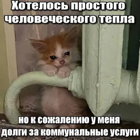 Суд подтвердил, что по долгам за капитальный ремонт действует трёхлетний срок исковой давности — начисления за более ранний период не подлежат принудительному взысканию.