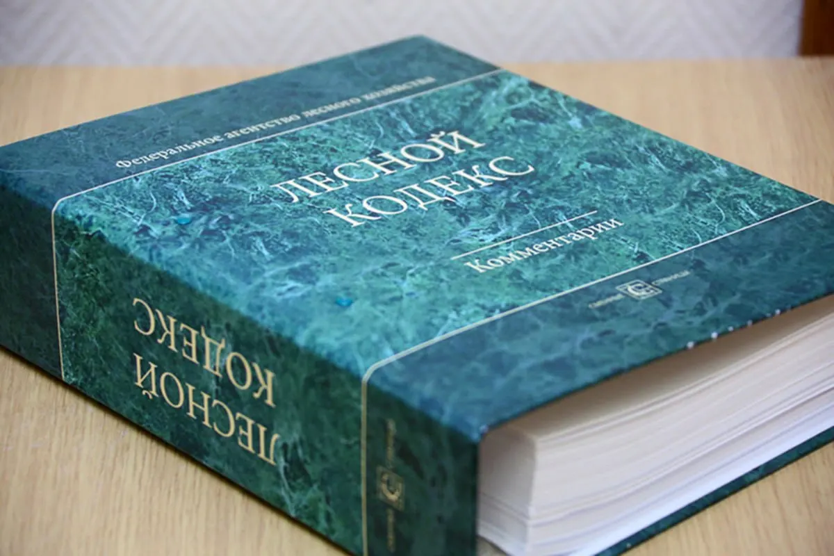 Кодекс 2006 года почти полностью изменён: внесено 79 пакетов поправок, последний из которых вступит в силу в сентябре. Эксперт считает, что документ требует радикальной замены и значительного упрощения.