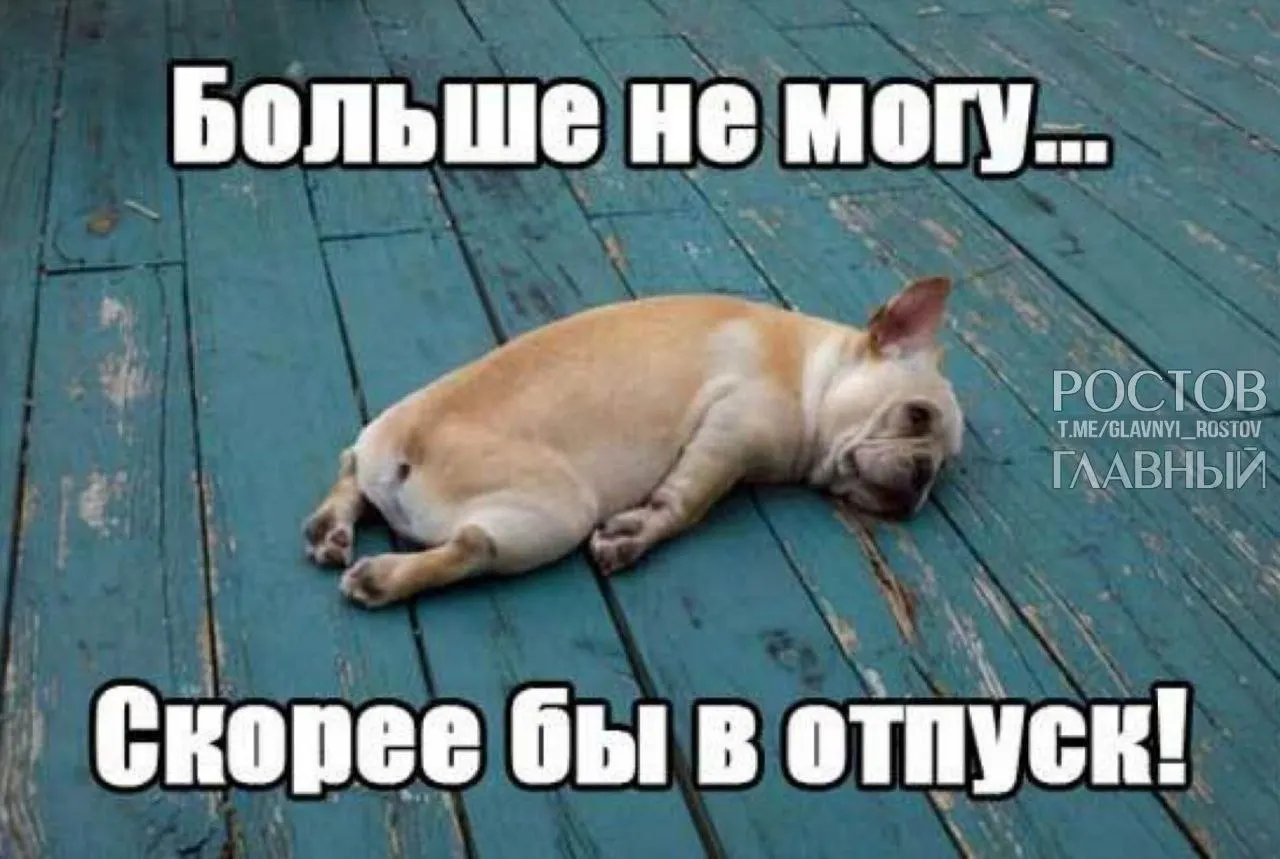 Депутаты предлагают поднять минимальную длительность отпуска с 28 до 35 дней, чтобы компенсировать включённые в отпуск выходные и снизить риск выгорания.