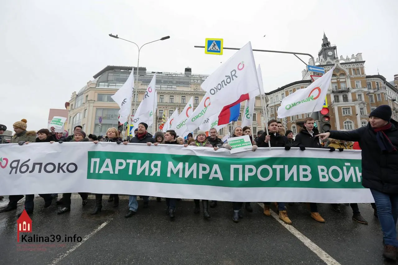 После регистрации федерального списка «Яблока» эксперты предполагают, что власти могли разрешить участие партии, выступающей против войны, чтобы канализировать протестные настроения; при этом многие заметные кандидаты лишены возможности баллотироваться.