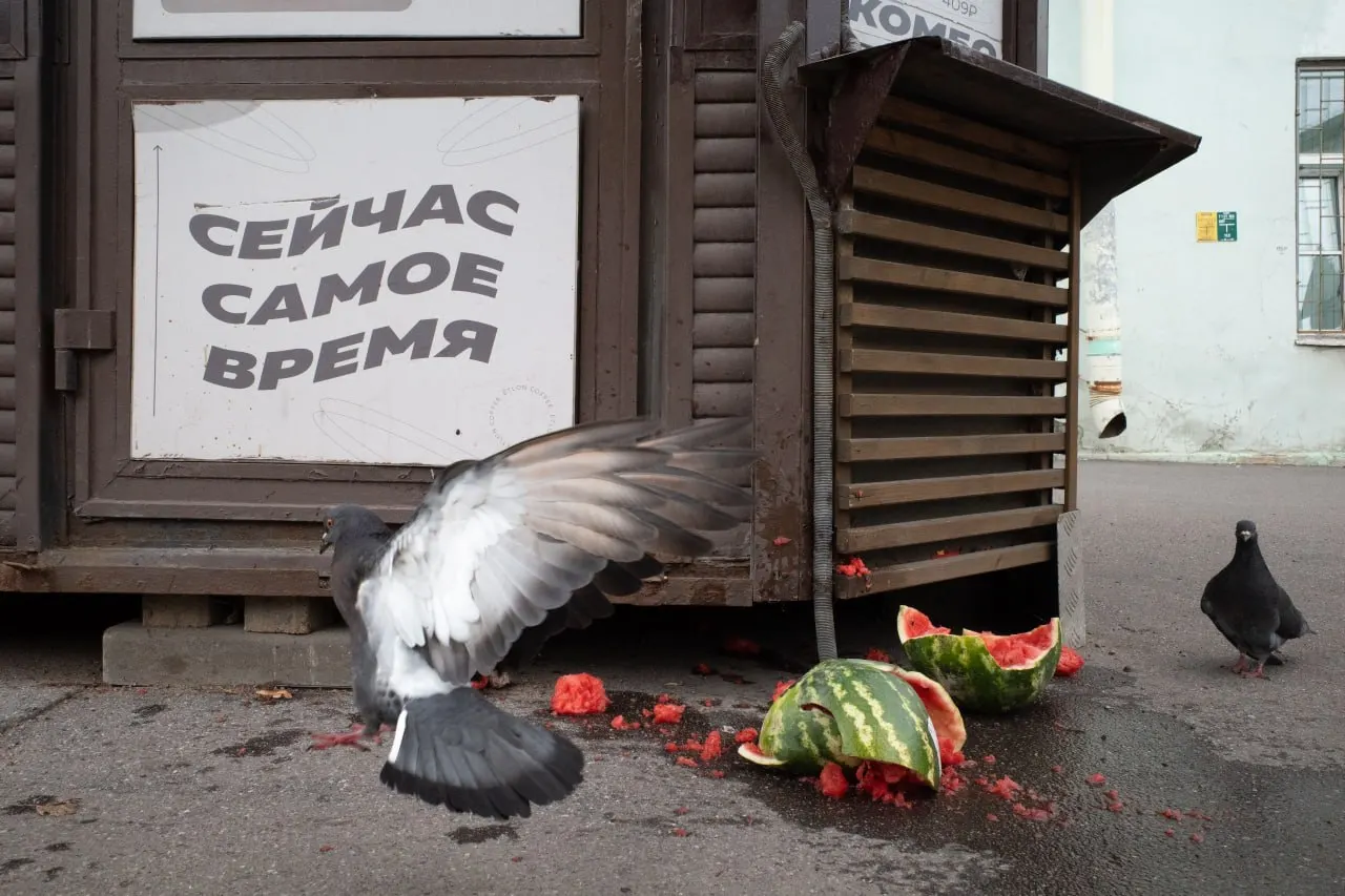 Сводка событий в Петербурге и Ленобласти, по России и миру: штрафы, памятные службы и политические манёвры на фоне выборов.