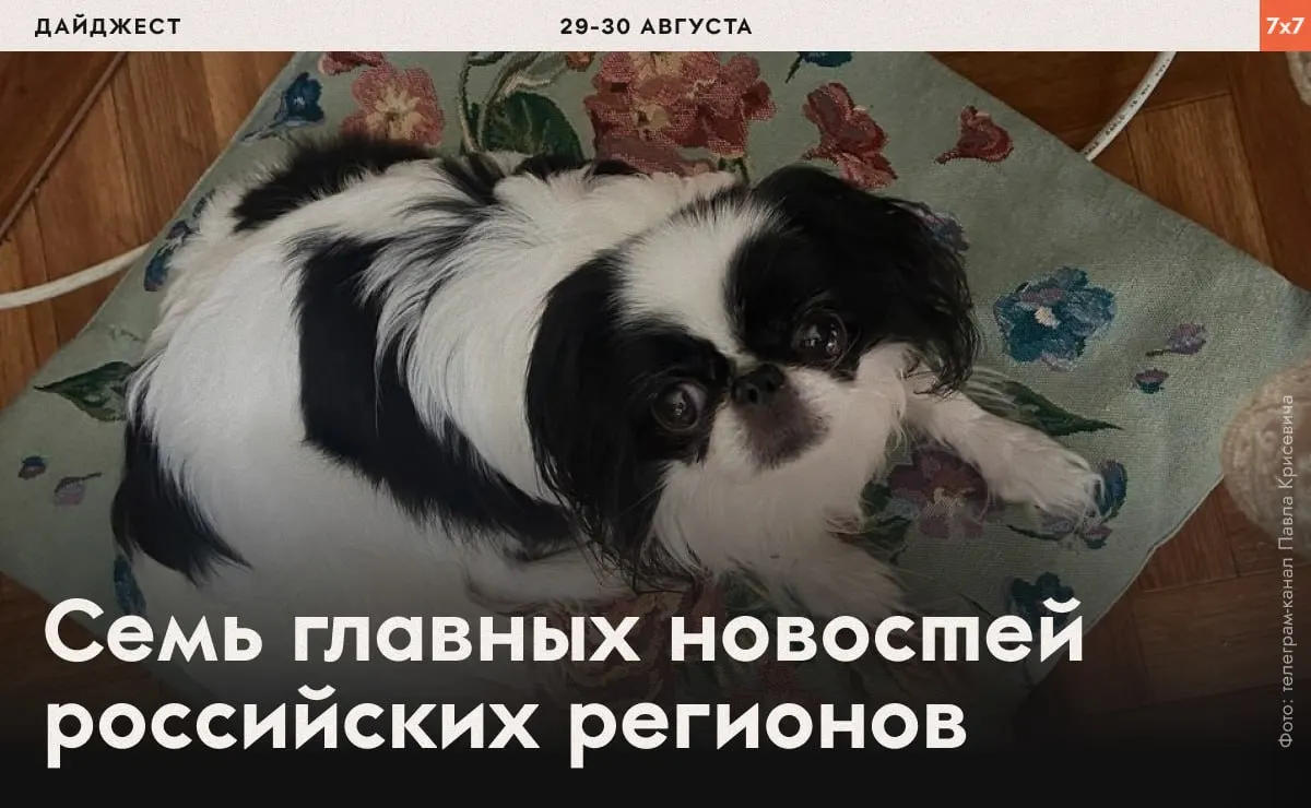 Сводка по регионам: репрессии против активистов, ограничения СМИ, давление на выборы и решения властей по благоустройству.