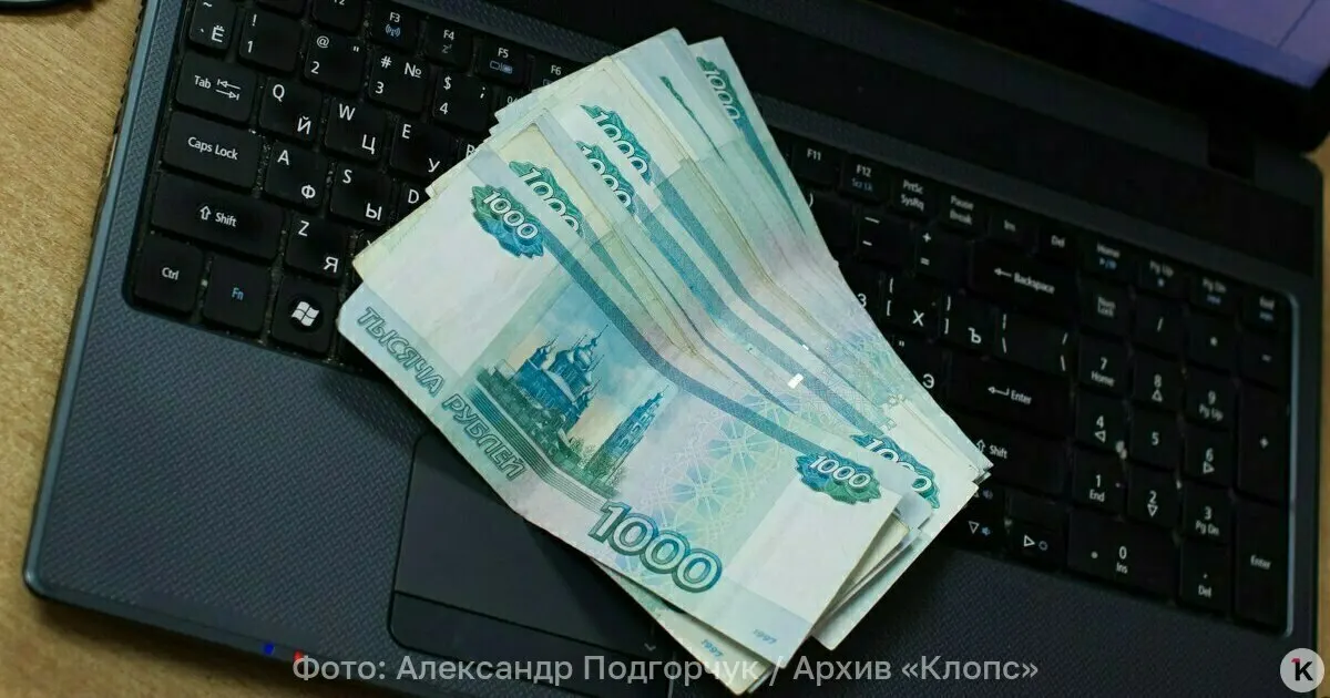 Обсуждение касается долговечности банкнот, экономии бюджета и защиты от подделок на фоне изучения мирового опыта