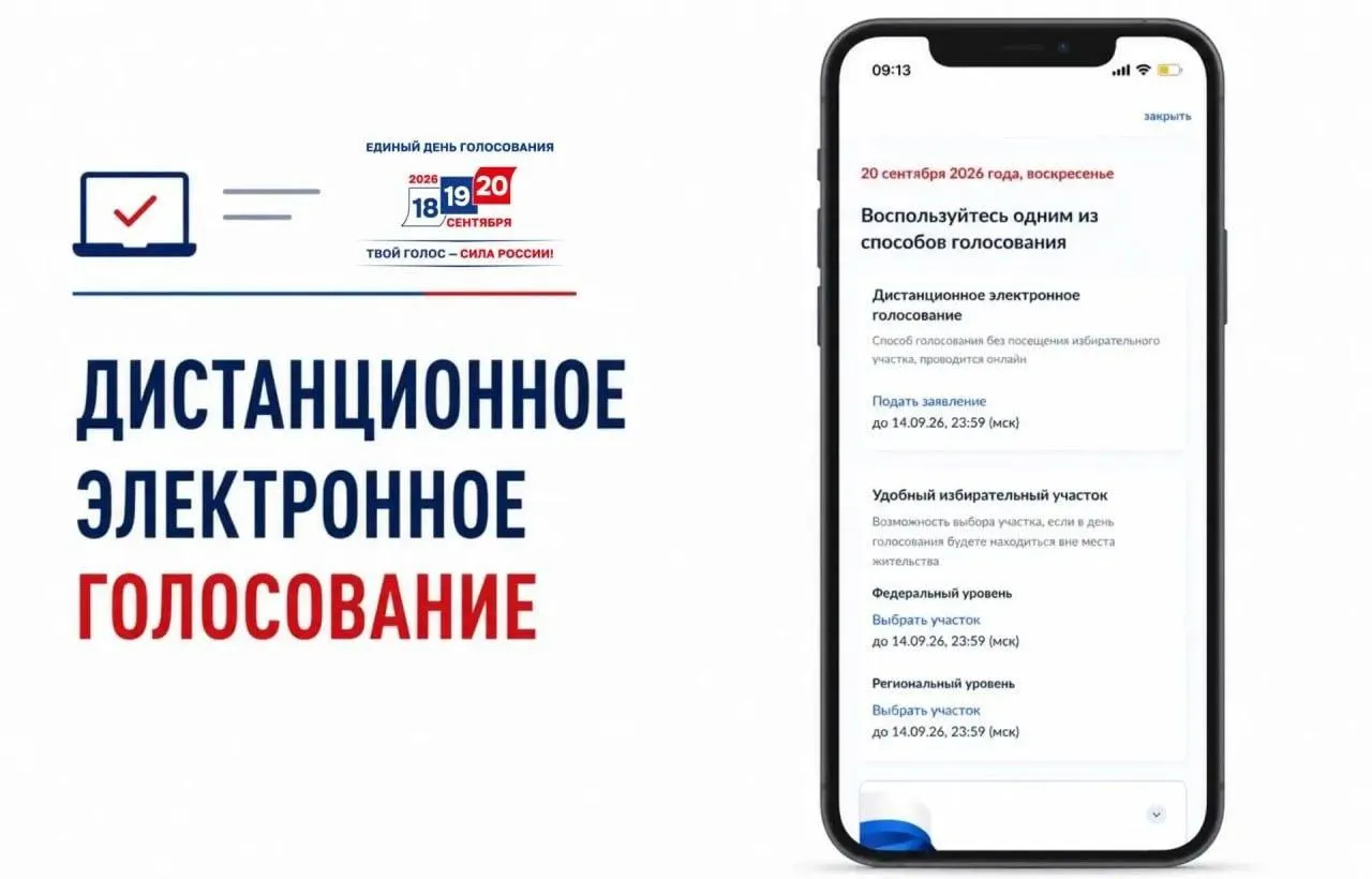 Открылась подача заявлений на ДЭГ; критики системы указывают на непрозрачность и давление на избирателей. Подробности и комментарии к теме обсуждения.