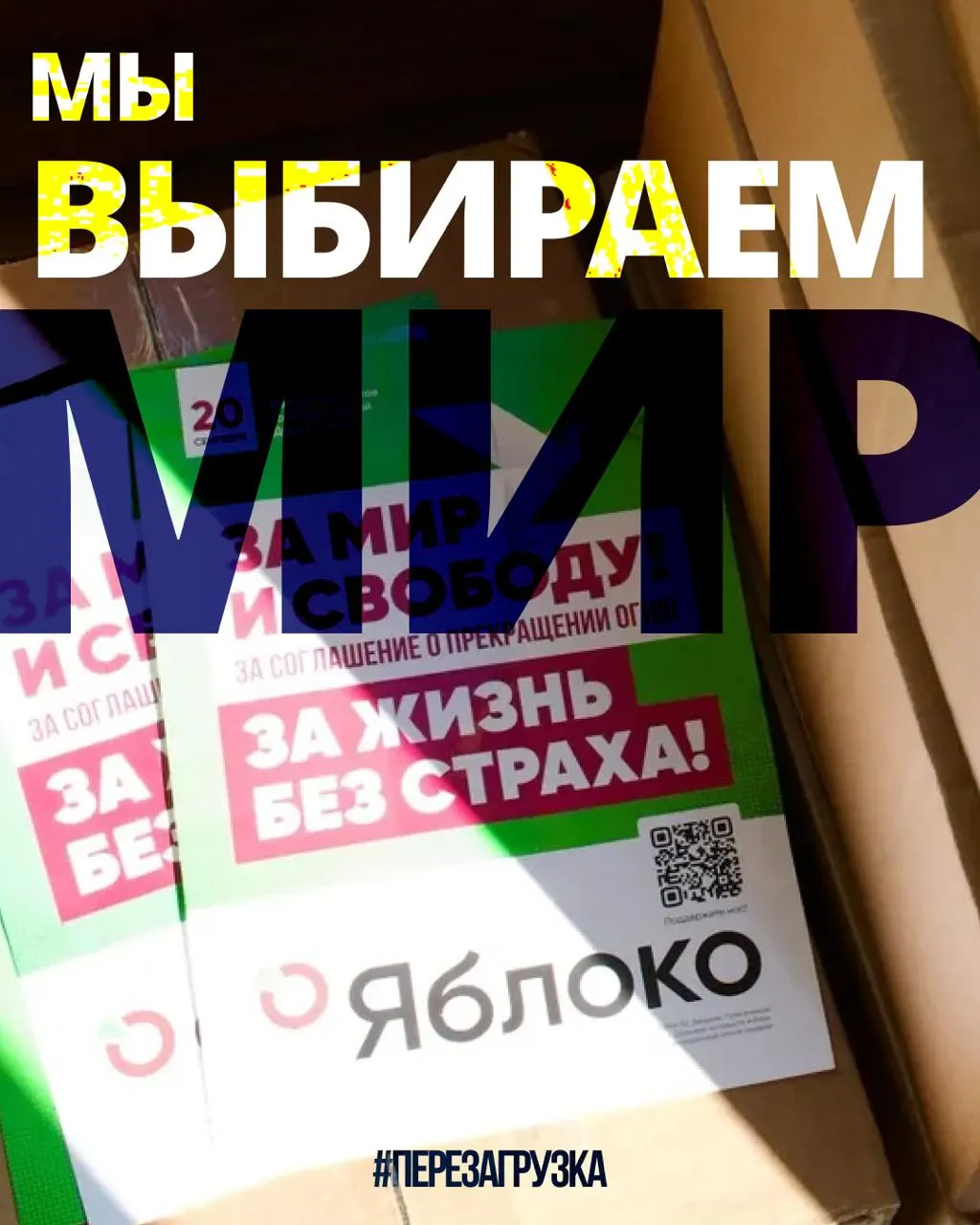 В 53 регионах страны развернута кампания 135 кандидатов от партии за мир, свободу и демократические принципы. Выберите регион и найдёте своих кандидатов.