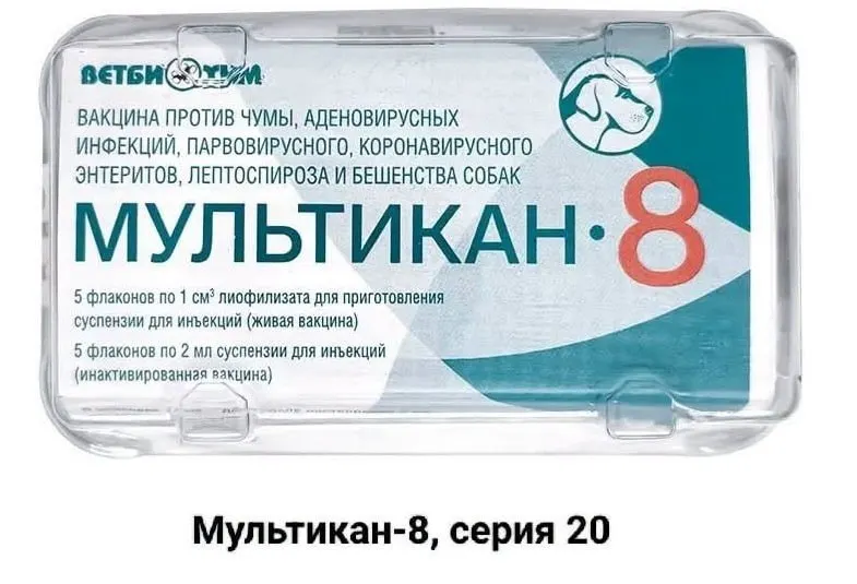 Пострадавшие владельцы требуют огласки и независимого расследования причин гибели собак после вакцинации препаратом Мультикан-8.