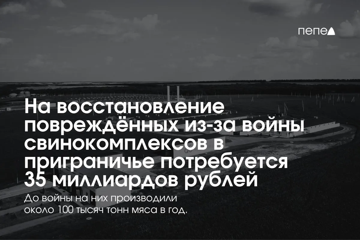 Расходы на восстановление свиноводческих предприятий в приграничных регионах достигнут 35 млрд рублей; отрасль сталкивается с безопасностью и ограничениями